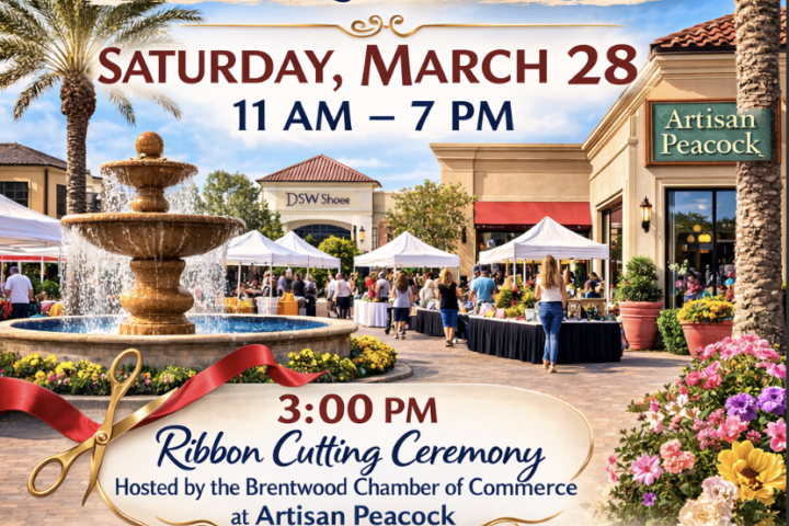 Artisan Peacock - 1 Year Anniversary Artisan Market