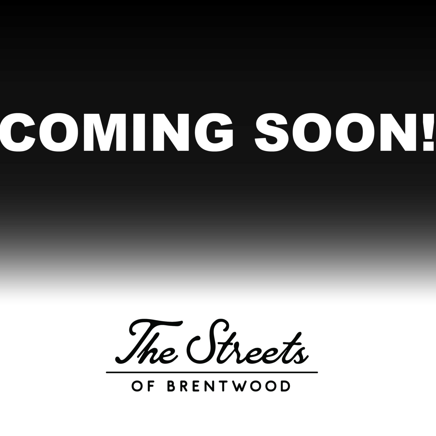 Out of the Barrel - COMING SOON!